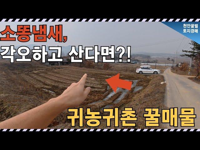 농지로 활용 가능한 1470평 임야, 이 가격 실화냐?