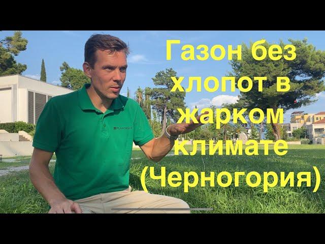 Хороший газон без усилий в жарком климате, Черногория и др. жаркие страны. Две важные составление