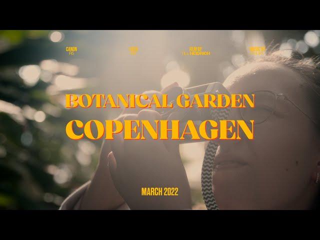 Through the Lens of Leica M6 & Canon R5 – Cinematic Beauty at Copenhagen Botanical Gardens