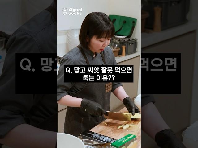 #망고를 먹다 죽을 수도 있다?? #망고 #요리상식 #요리꿀팁