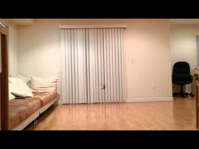 Nano CPX Flip Contest Attempt #2