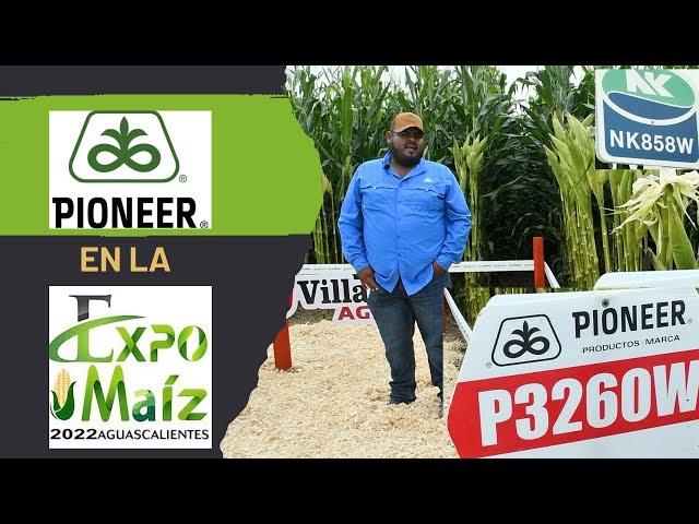 Maíz élite. Pioneer en Expo Maíz 2022 Pabellón de Arteaga, Ags