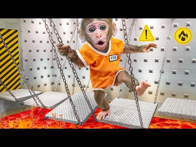 KiKi Monkey survive Hide and Seek to escape Prison Maze challenge to meet Duck | KUDO ANIMAL KIKI