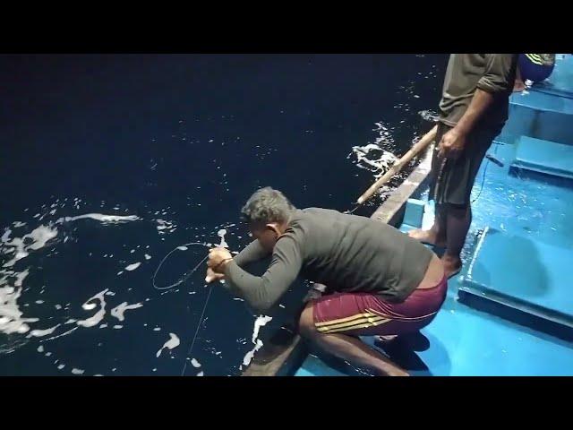 mancing tuna di laut dalam di musim hujan dan ombak