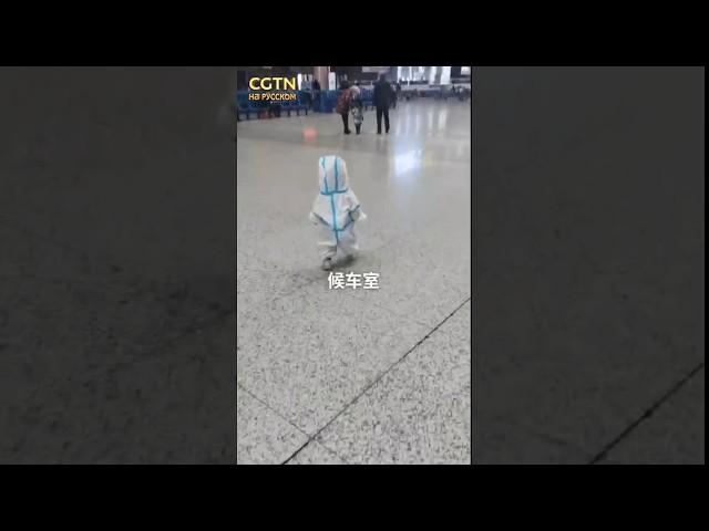 Как уберечь ребенка от коронавируса в поездке?