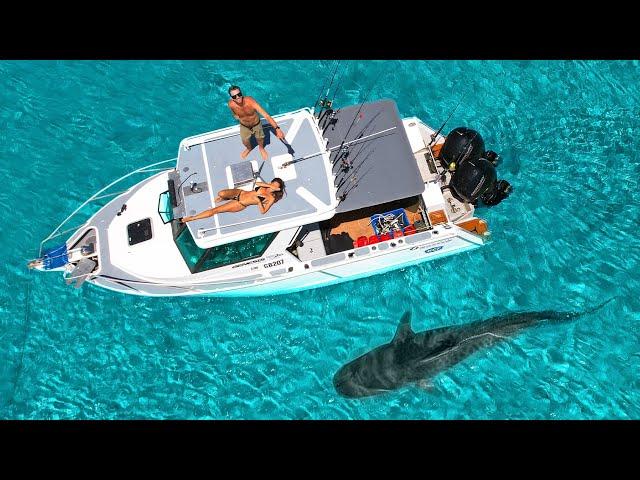 DAY 77 AT SEA: Huge Tiger Shark at Remote Island