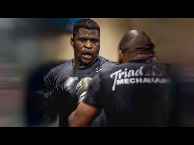 Francis Ngannou brutal 290lbs Boxing Training (2023) HD