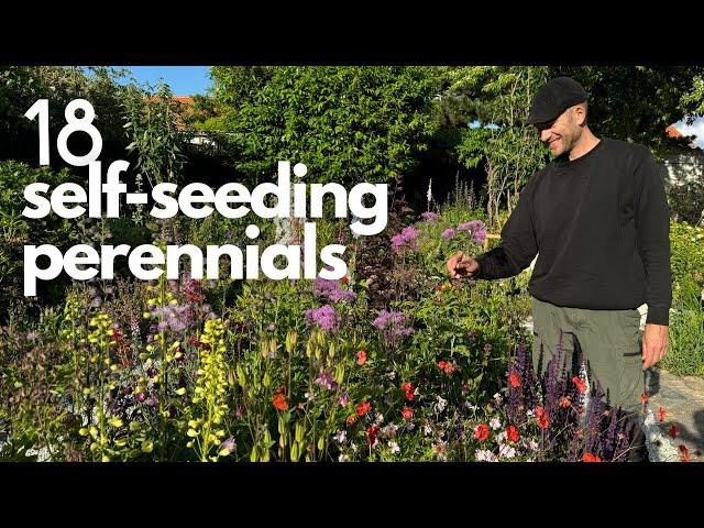 18 Self-Seeding Perennials for a Lush Cottage Garden | Perennial Garden