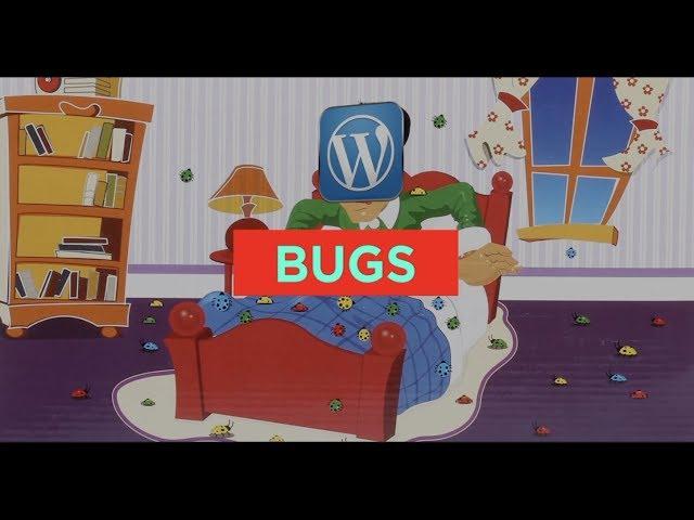 #WisdomWednesday Ep. 8: What is a Bug?