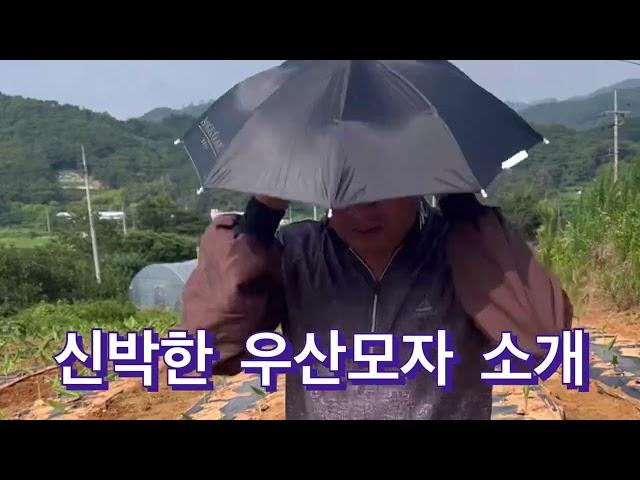 신박한 전천후 우산모자 소개