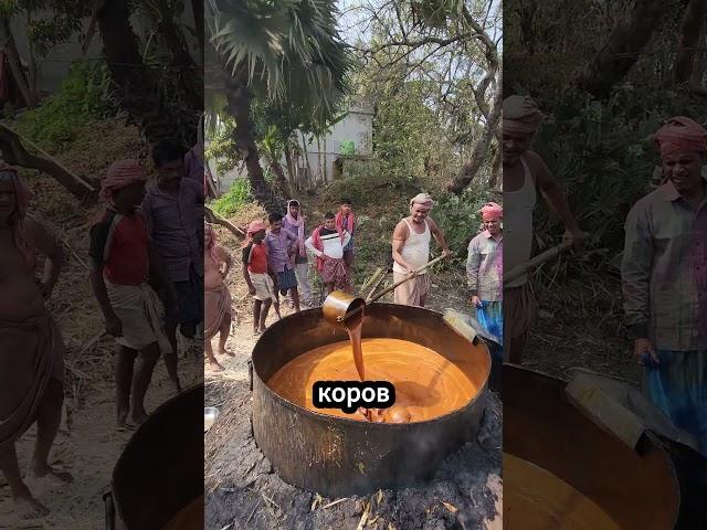 Зачем коровам дают мелассу 