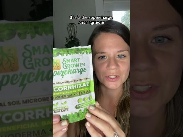 The secret to happier, thriving plants? Credits: Tiktok/ @sam.stonge5  #mycorrhizalfungi #plants