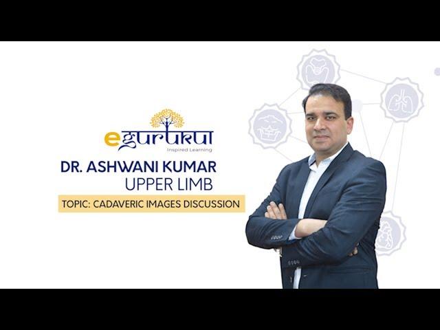 Upper Limb Cadaveric |  Anatomy by Dr Ashwani Kumar | Dr. Bhatia videos | DBMCI |