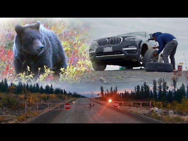 Canadian Arctic Self-Driving Tour｜Encountered grizzly bears, vehicle flat tires, road closures