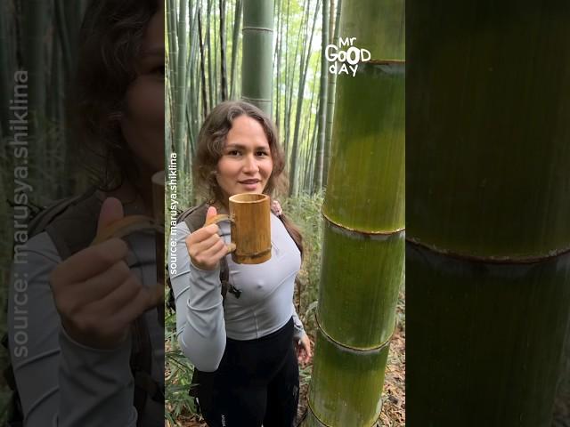 Not many people know, drinking bamboo stem water #shorts