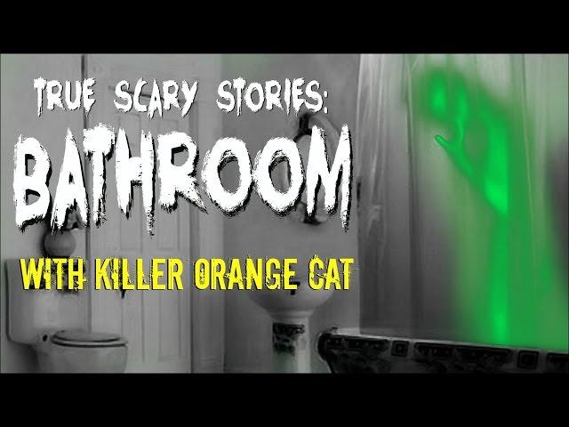 True Scary Stories: BATHROOM w/Killer Orange Cat