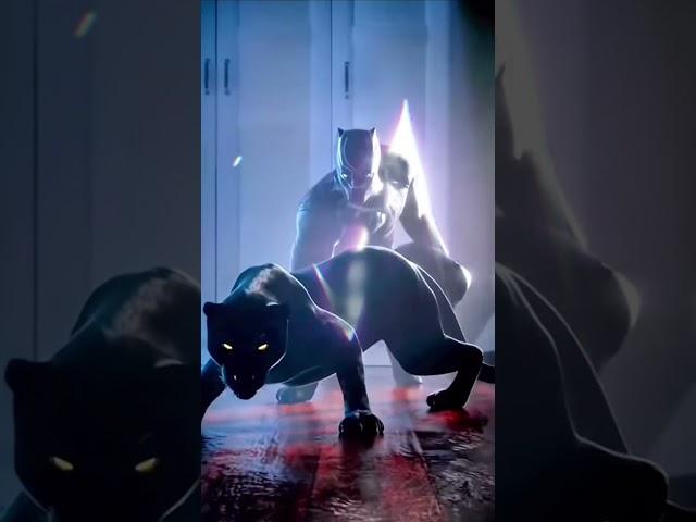 Black Panther Transformation / Transition (Version 4)