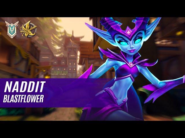 Naddit WILLO PALADINS COMPETITIVE (MASTER) BLASTFLOWER