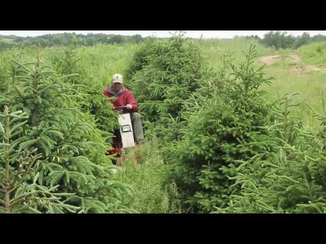 Tree Farm Mowing with Ventrac