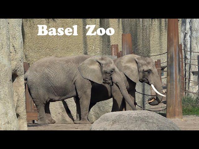 Zoo Basel, Switzerland