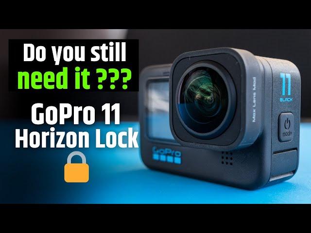 GoPro MAX lens Mod or GoPro 11 Horizon Lock ?