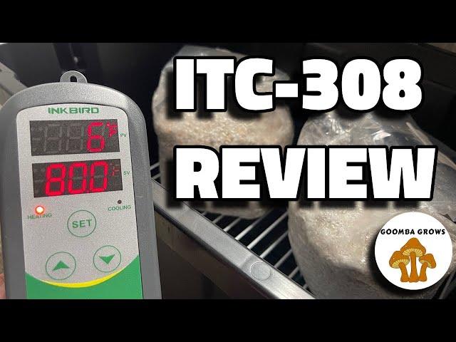 INKBIRD ITC-308 Temperature Controller Review
