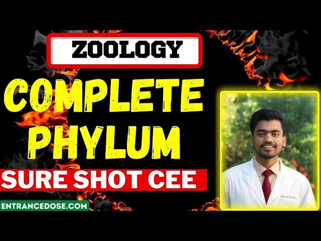 8 Marks Phylum Complete Sure Shot With Most Important Questions For CEE 