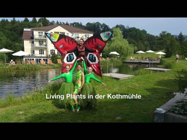 Living Plants in der Kothmühle