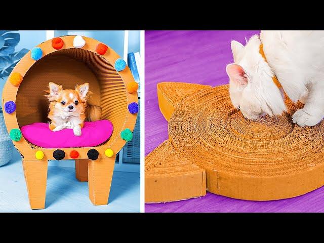 New Cardboard DIY Crafts: Fun Projects for Furry Friends & You! 