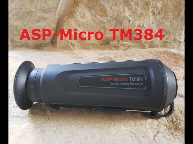 Review of AGM ASP Micro TM 384