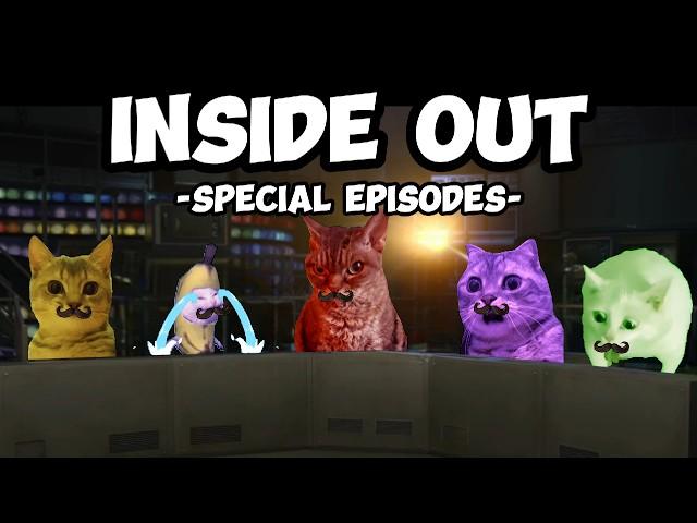 CAT MEME MOVIES: INSIDE OUT SECRET EPISODES