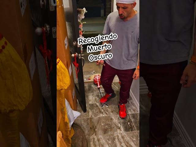Recogiendo Muerto Oscuro #davidalaaggayu #palomayombe