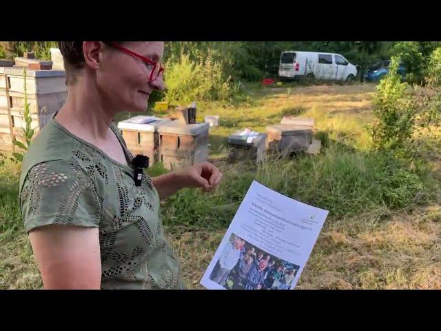 Live von Pias Bienenstand - 27.06.2024