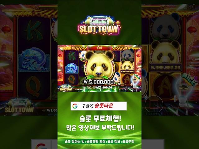 [슬롯머신][슬롯] 판다 포춘2 5천배 맥스윈! Pragmatic Play Pandas Fortune 2 MaxWin! #슬롯 #슬롯머신 #슬롯사이트