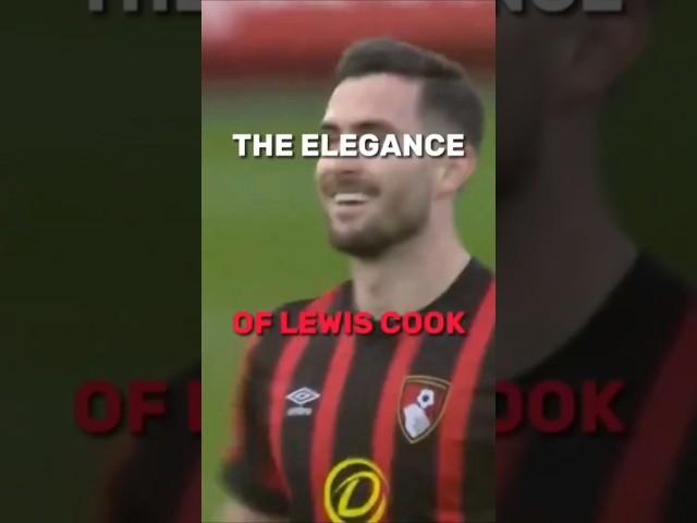 Elegance of Lewis Cook