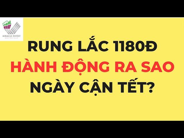 NHẬN ĐỊNH THỊ TRƯỜNG CK NGÀY 23/1|RUNG LẮC 1800, CỔ PHIẾU PHÂN HÓA!|KIẾM TIỀN BỀN VỮNG