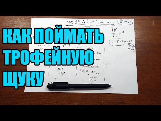 Активность клева щуки в зависимости от её размера.