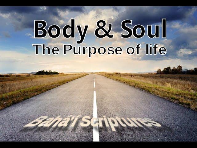 BODY&SOUL -  Life and its True Purpose