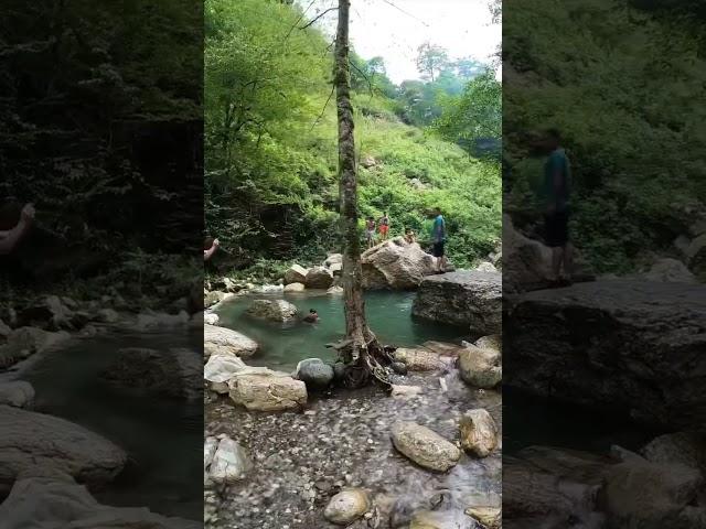 Mazandaran IRAN/ #shorts #trending #nature #viralshorts #viral #trendingshorts #iran #youtubeshorts