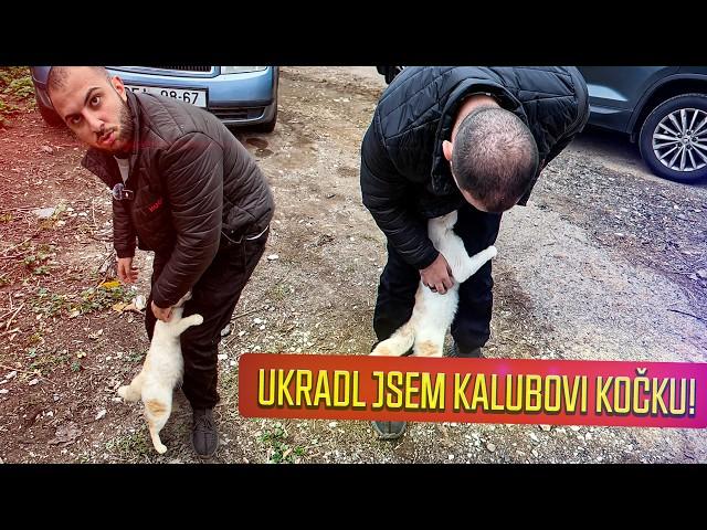 UKRADL JSEM KALUBOVI JEHO ZANEDBANOU KOČKU - MÁLEM SE NÁM TO DÍKY POLICII NEPOVEDLO...