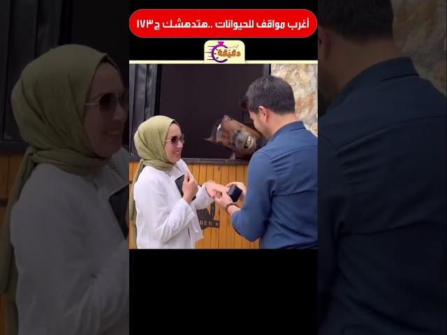 أغرب مواقف للحيوانات .. هتدهشك ج173