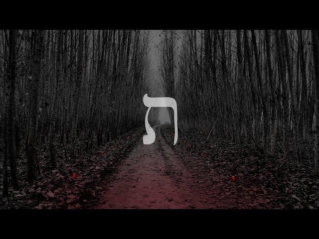 TAV - The Ashen Trail (official video)