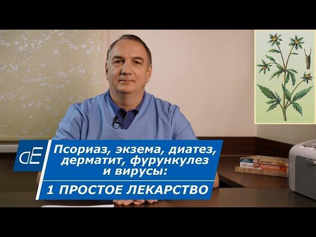 Псориаз, ЭКЗЕМА, диатез, ДЕРМАТИТ, простуда и ВИРУСЫ = 1 простое лечение. Череда, её применение.