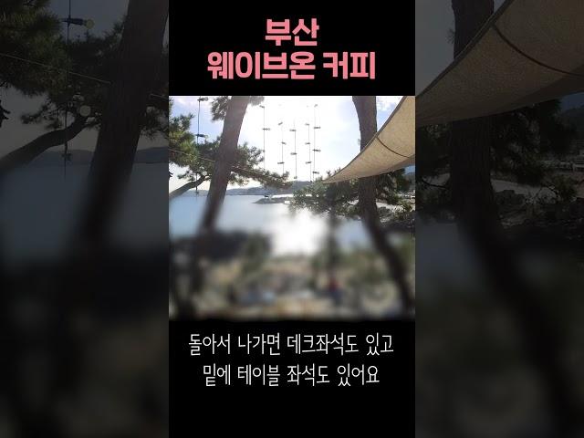 [기장 카페] 바다가 보이는 프라이빗한 방갈로 카페 - 웨이브온