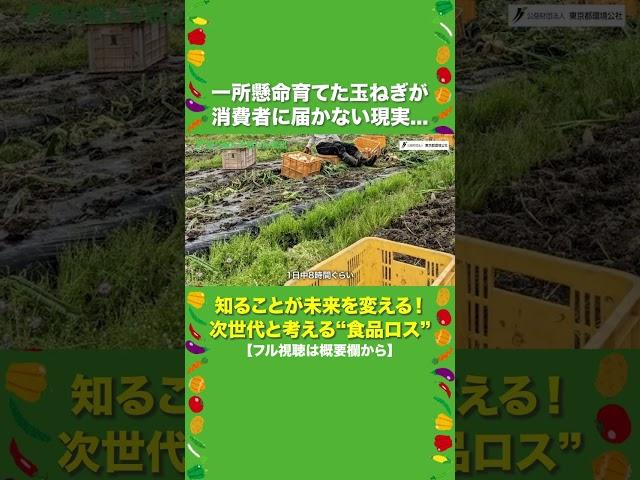 一所懸命育てた玉ねぎが消費者に届かない現実｜食品ロス【東京都環境公社】