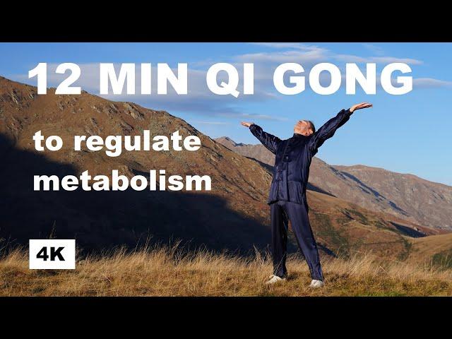 12 MIN QI GONG WARM UP AND PRACTICE TO HARMONIZE AND REGULATE METABOLISM