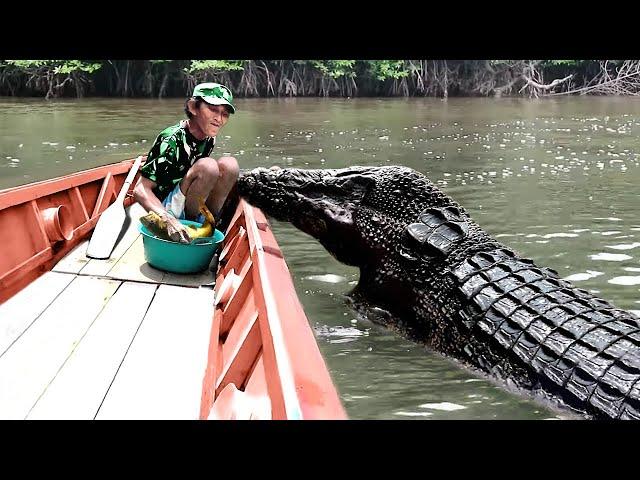 Most Emotional Animal Reunions With Owners After Years!