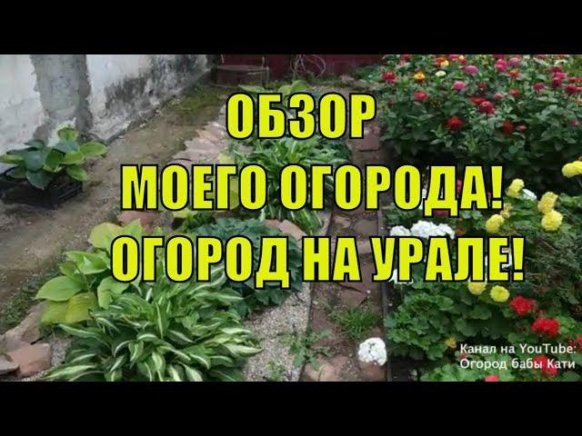 Большой обзор моего огорода и сада в августе! Огород на Урале! Обзор участка!