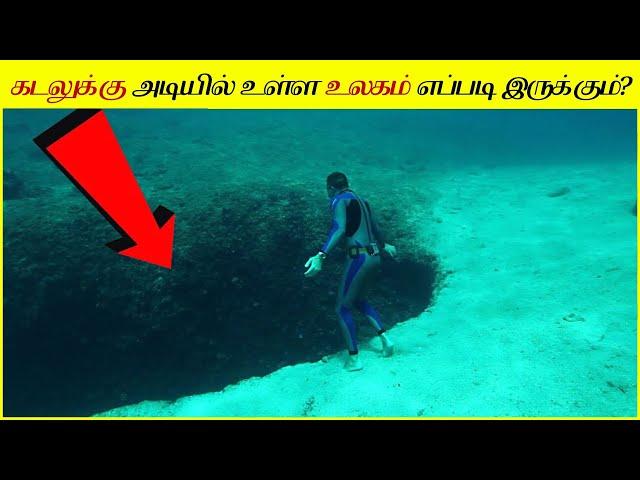 மனித இனத்தை மிரள வைக்கும் ஆழ்கடலின் வினோதமான விஷயங்கள் │How Would Deep Sea World Look Like? Ocean