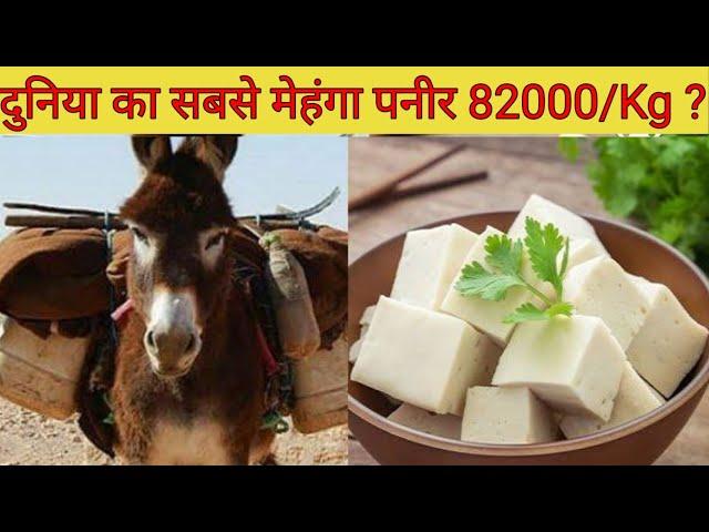 दुनिया का सबसे महंगा पनीर ? Most Expensive Cheese | Shorts | Sohel Motivation